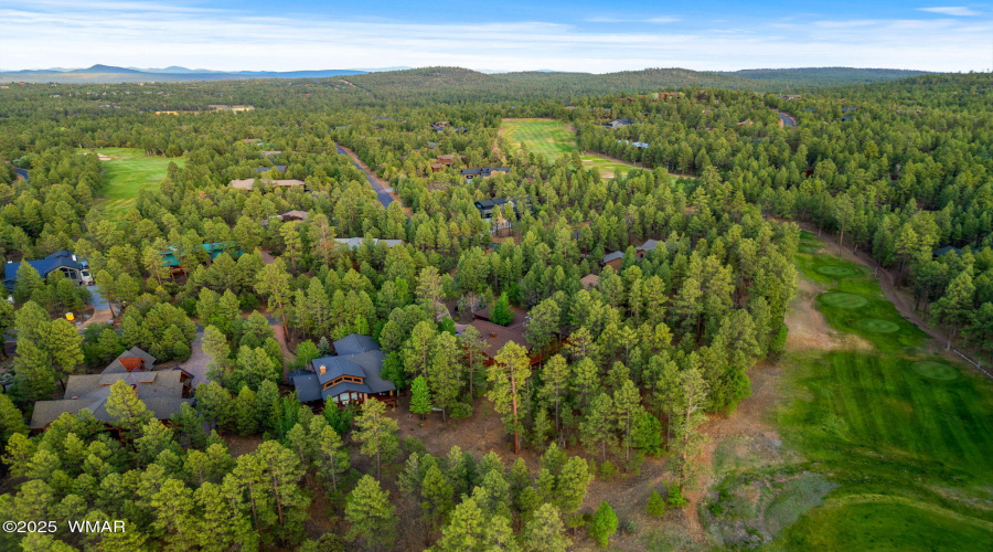 1080SVineMapleLn-ShowLow-AZ-38