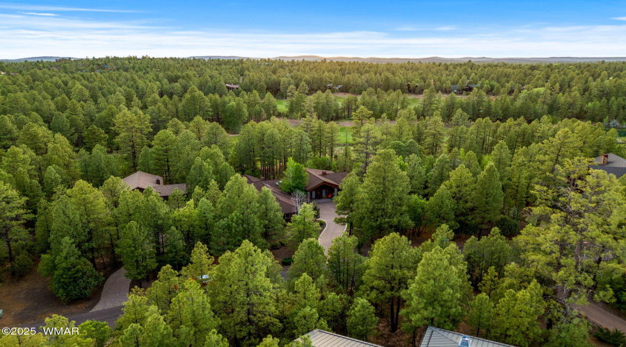 1080SVineMapleLn-ShowLow-AZ-39