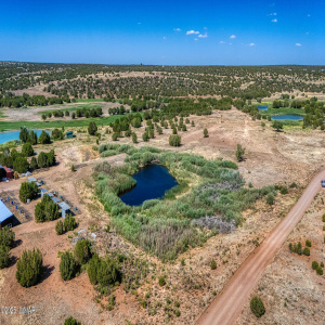 Aerial Shot