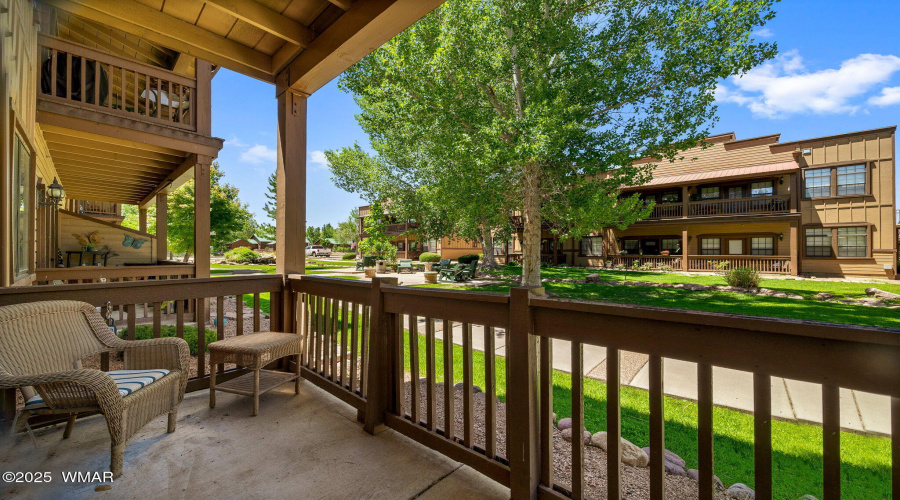 2391QuarterHorseTrl-Overgaard-5