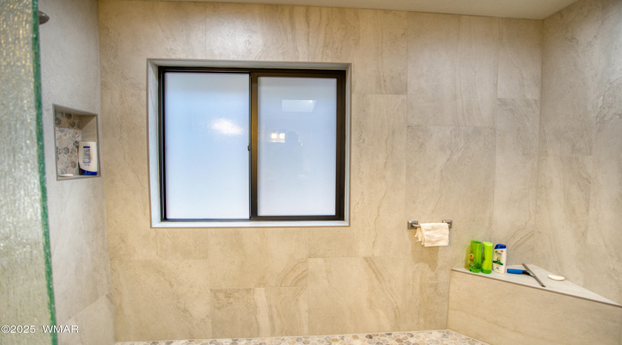 Master Shower Walk-in Shower