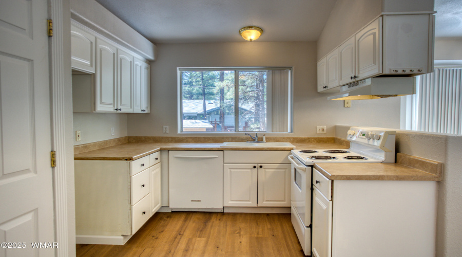 Paxmanphoto_PAX_2924