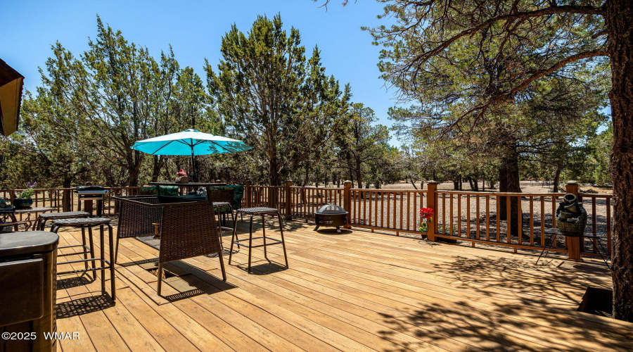 2796ChandelleLn-Overgaard-AZ-5