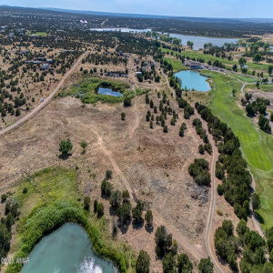 Aerial Shot