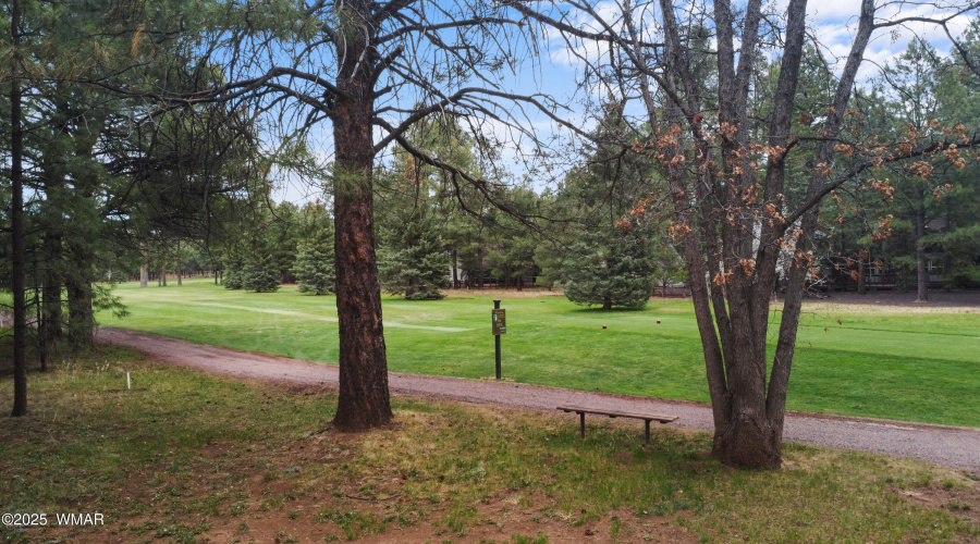 VIEW OF 18TH TEE-FAIRWAY