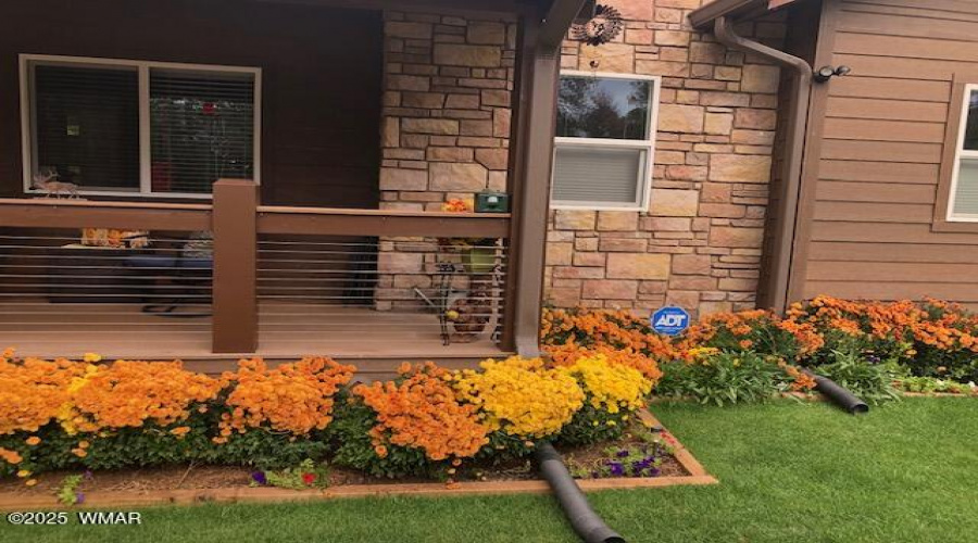 FRONT AUTUM FLOWERS