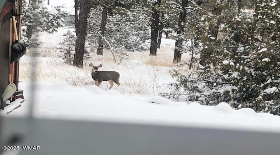 DEER