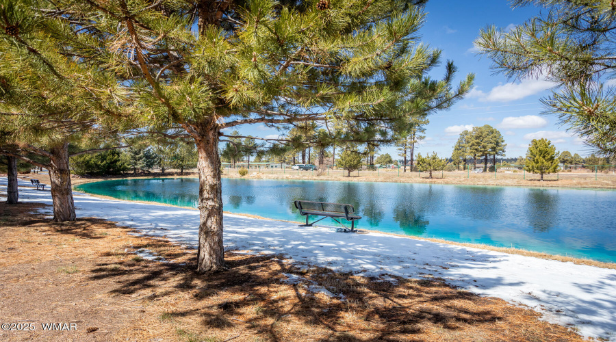X_Pinecrest_10