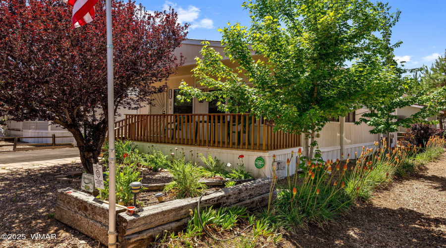 2261HangingTreeLn-Heber-AZ-3