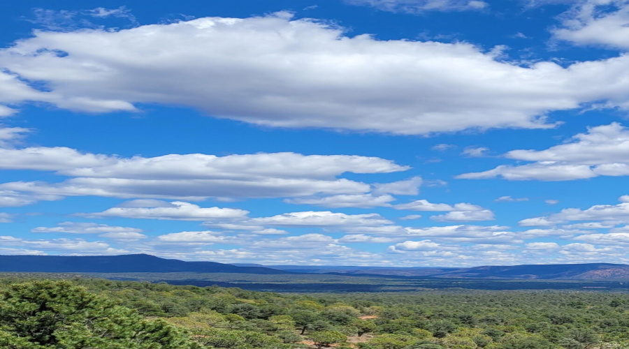 Houston Mesa View