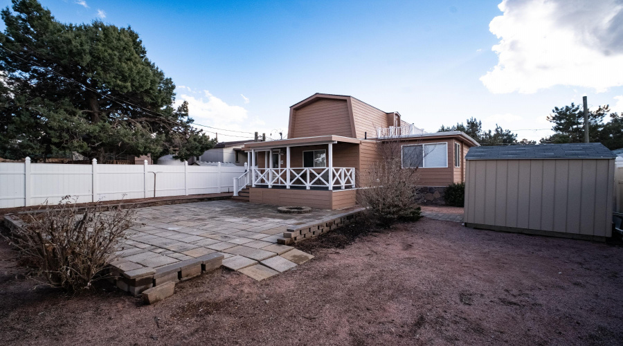 Backyard (2)