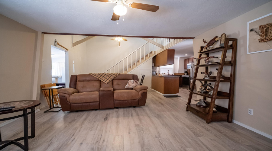Living Room to Dining Room View
