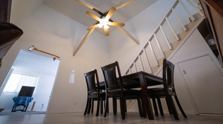 Dining Room Ceiling