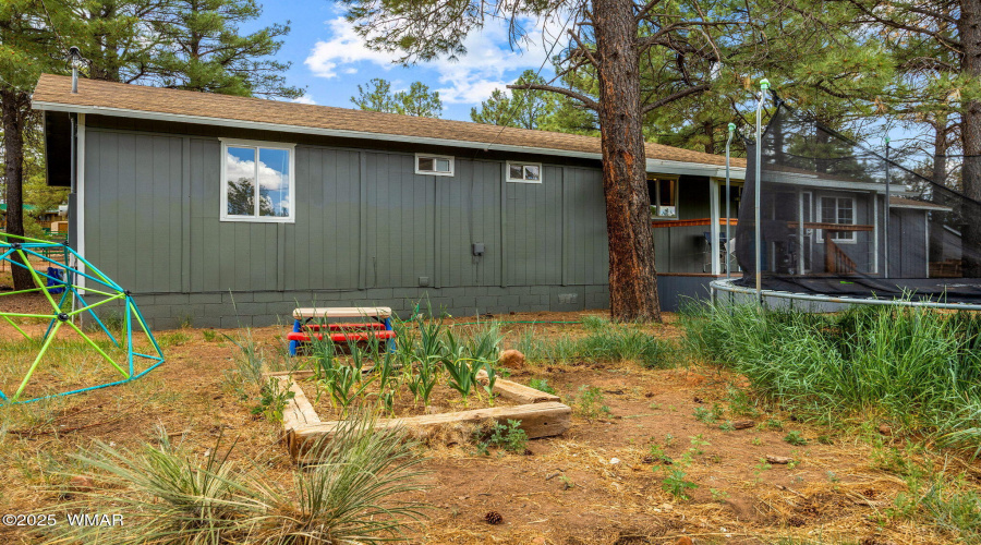 back yard