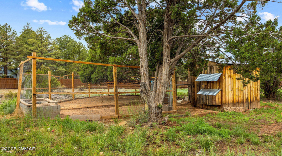 animal coop