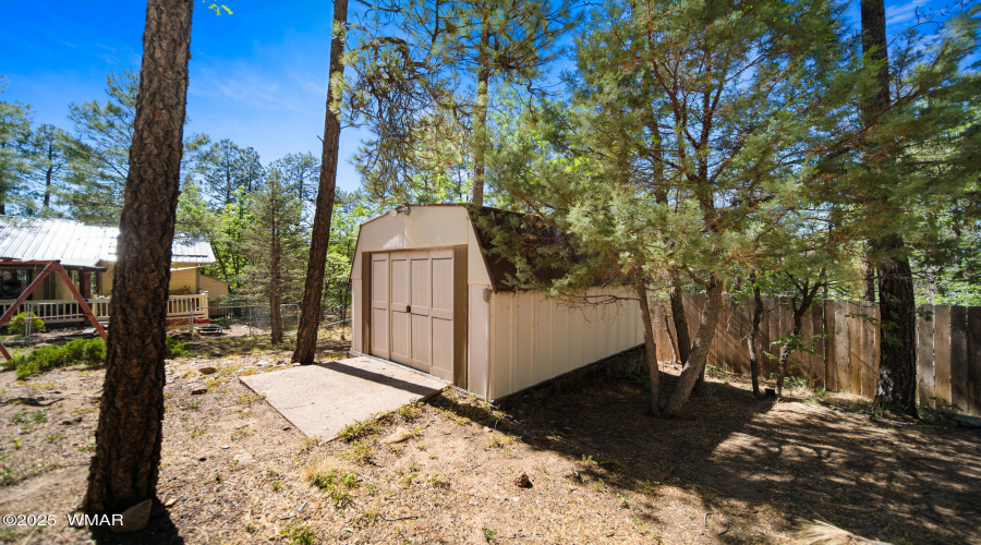 S back shed