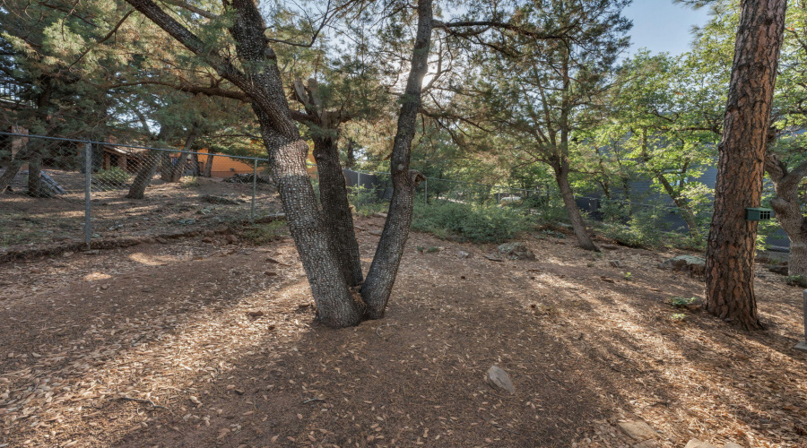 27-web-or-mls-TimberCreekImagery-27