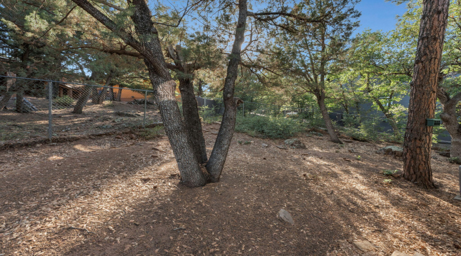 28-web-or-mls-TimberCreekImagery-28