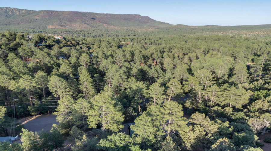 34-web-or-mls-TimberCreekImagery-36