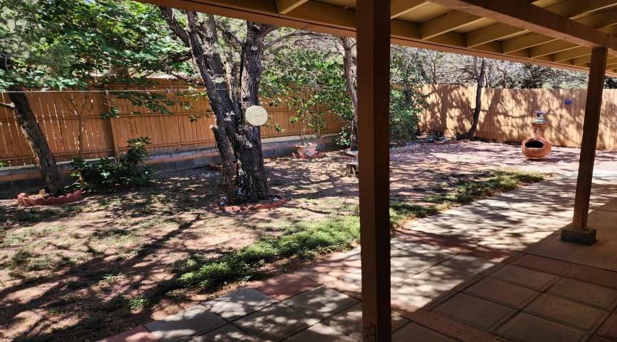 Backyard 1