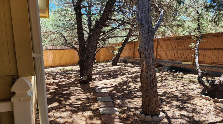 Backyard 2