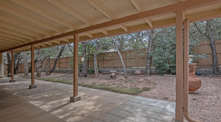 Backyard 2
