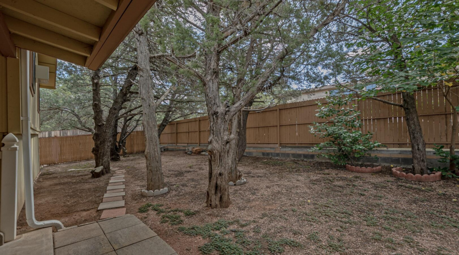 Backyard