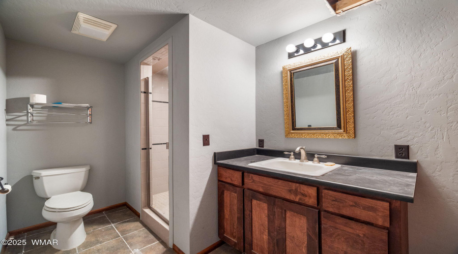 basement bathroom
