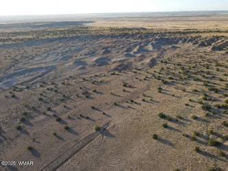 20250130125527021474000000-o