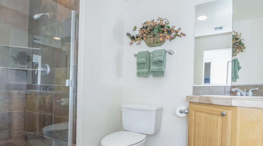 Guest bathroom