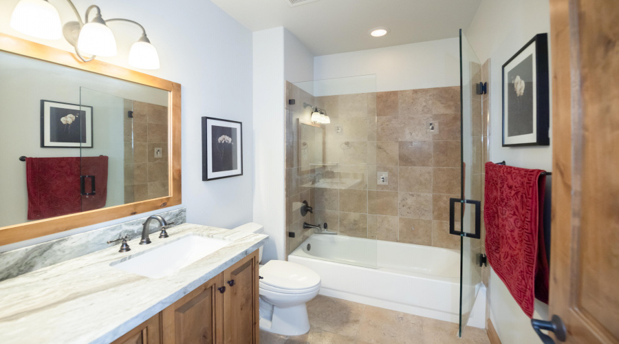 Guest bathroom