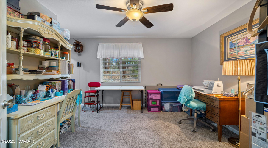 28CountyRd2310-Alpine-AZ-20
