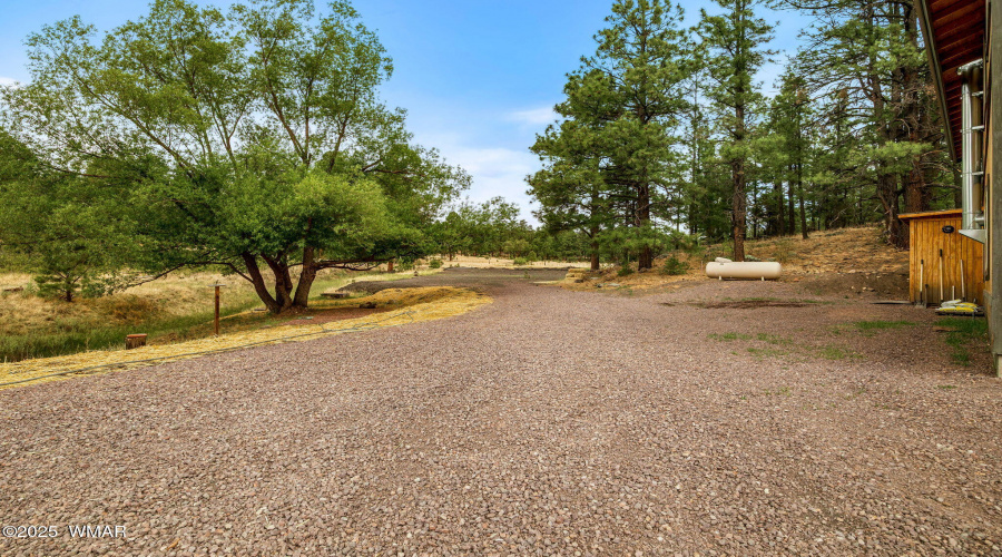 28CountyRd2310-Alpine-AZ-38