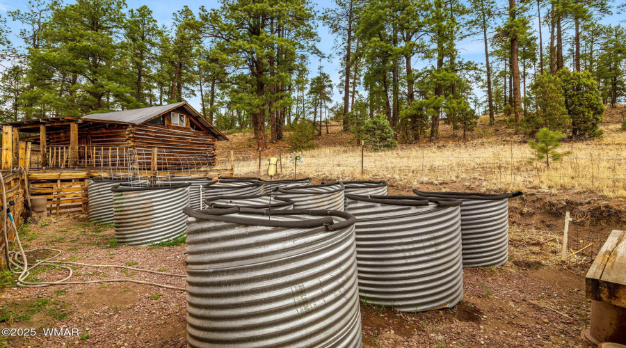 28CountyRd2310-Alpine-AZ-40