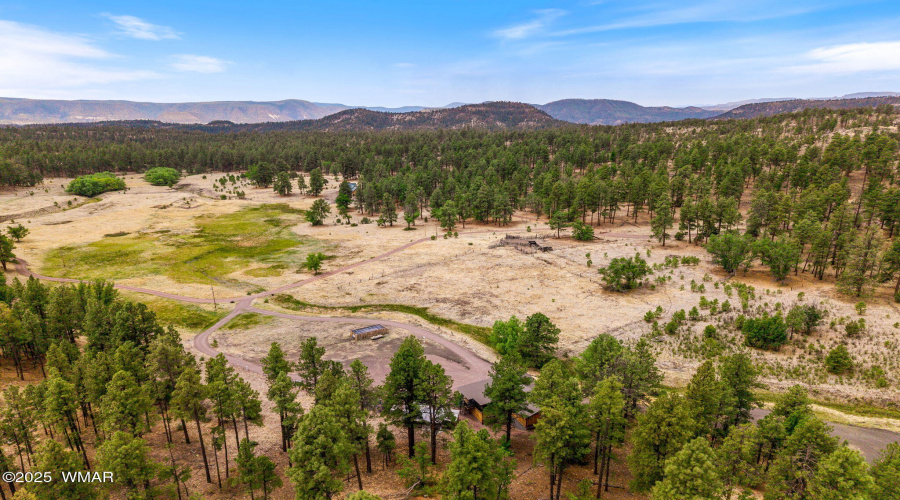 28CountyRd2310-Alpine-AZ-45