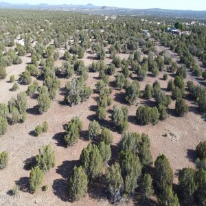 DJI_0080