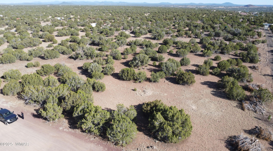DJI_0081
