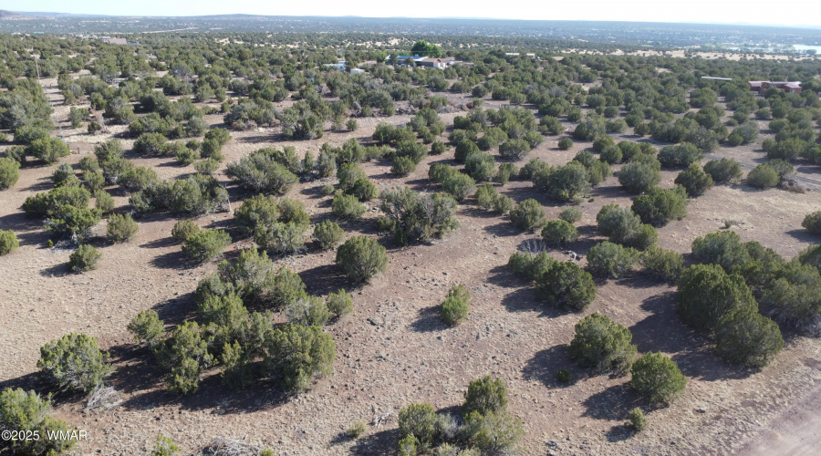 DJI_0082