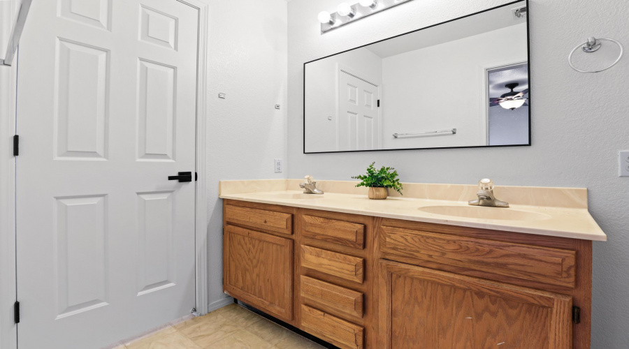 Master Bathroom sink