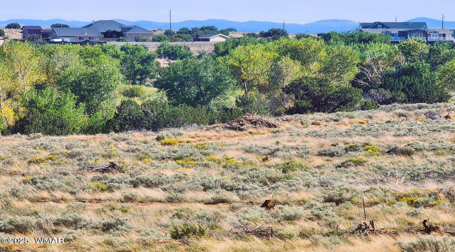 Tumbleweed 5