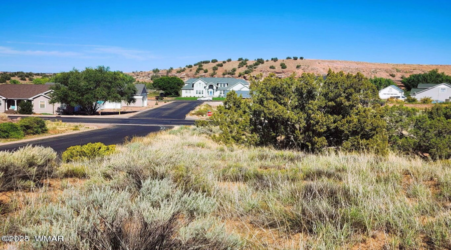 Tumbleweed 8