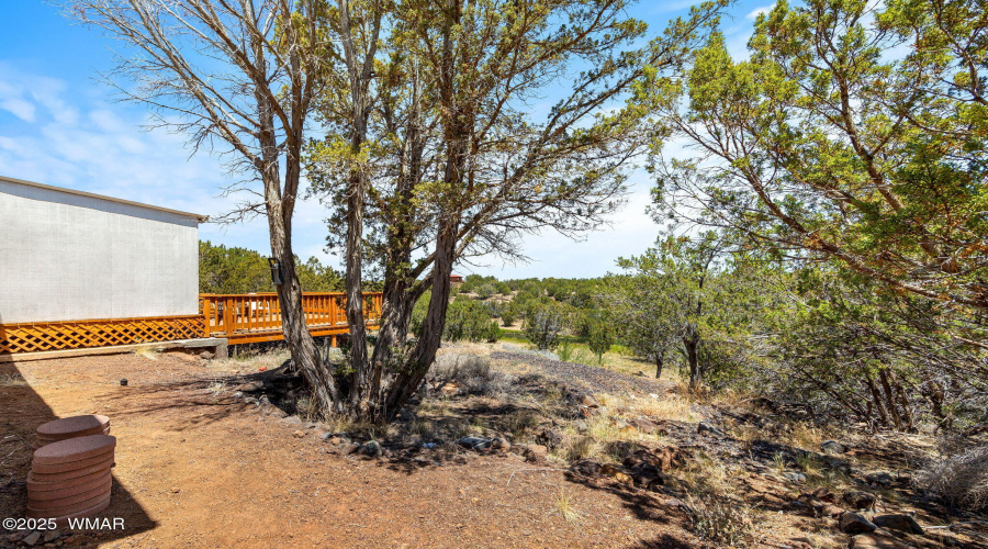 8596FoxCir-ShowLow-AZ-20