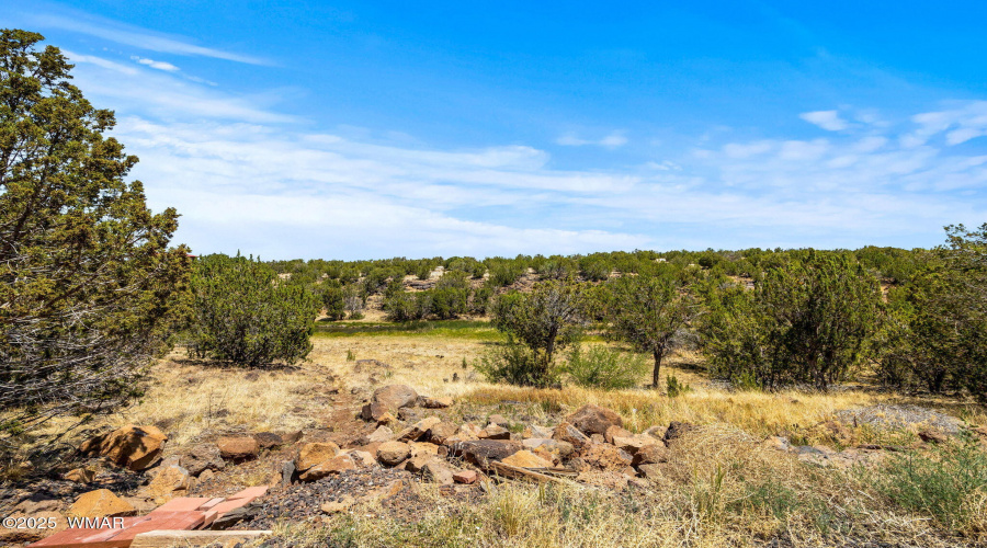 8596FoxCir-ShowLow-AZ-21