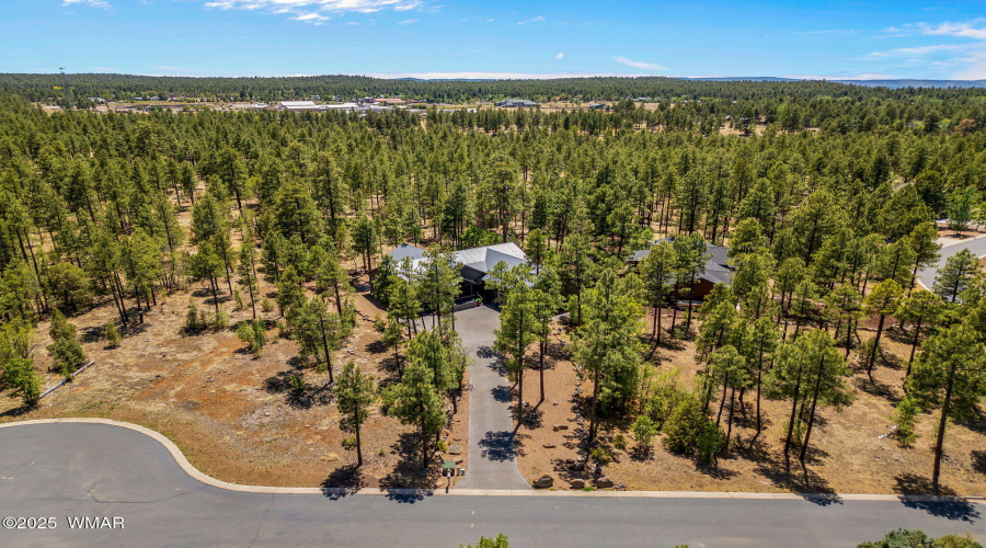 1135BigSpringsTrail-Pinetop-AZ-35
