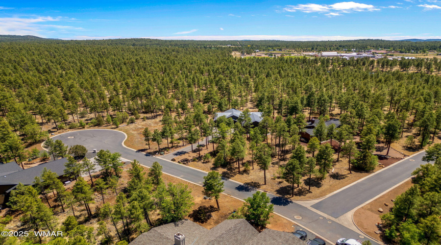 1135BigSpringsTrail-Pinetop-AZ-36