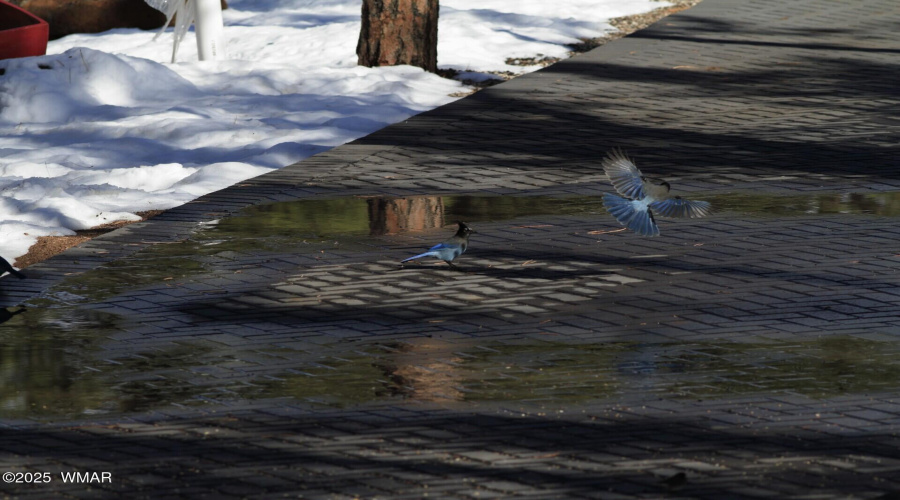 thumbnail_winter