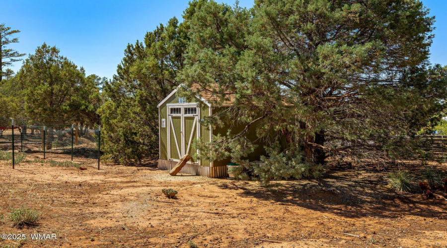 6950JacksHighRd-ShowLow-AZ-29