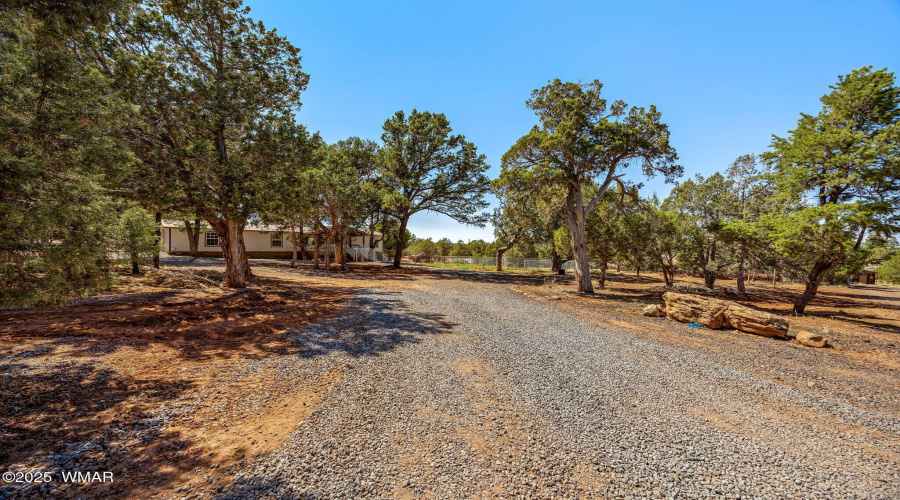 6950JacksHighRd-ShowLow-AZ-32