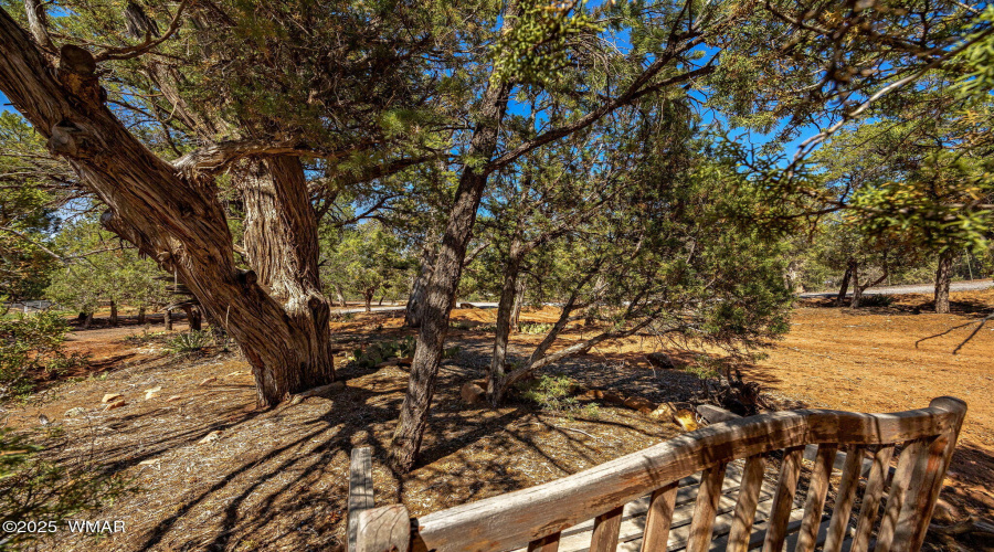 6950JacksHighRd-ShowLow-AZ-33