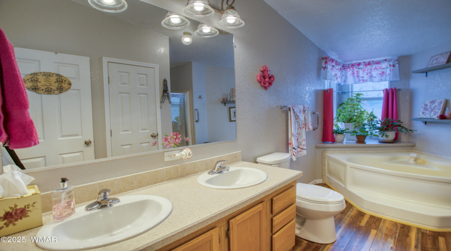Primary Vanity